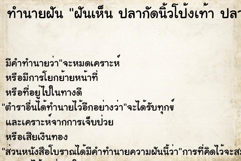 ทำนายฝันฝันเห็นปลากัดนิ้วโป้งเท้าปลากัดนิ้วโป้งเท้า ทำนายฝันทำนายฝันฝันเห็นปลากัดนิ้วโป้งเท้าปลากัดนิ้วโป้งเท้า